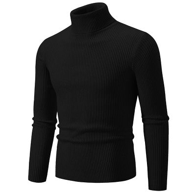 Pull à col roulé pour hommes en qualité ribbed haut de gamme Chic und Stil