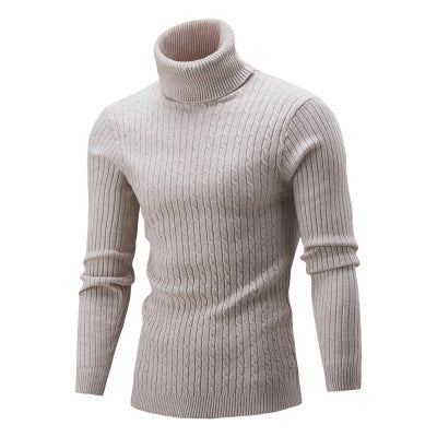 Pull-over à col roulé pour hommes avec un motif côtelé classique Chic und Stil