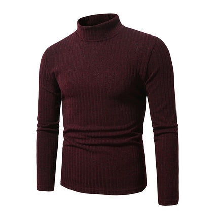 Pull col roulé en maille fine pour hommes Chic und Stil