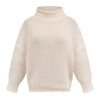 Dames Pull confortable avec col haut et look de maille structuré Chic und Stil
