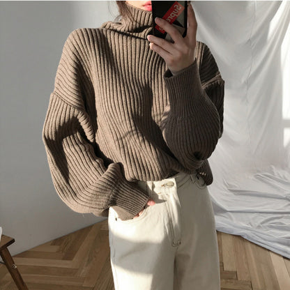 Dames Pull à col roulé moelleux Chic und Stil