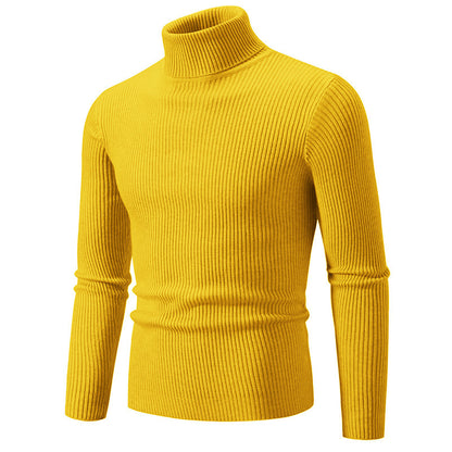 Pullover à col roulé tendance pour hommes avec un design en ribbing fin Chic und Stil