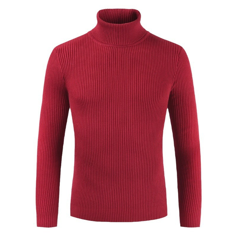 Pull à col roulé pour dames en tricot crochet Chic und Stil