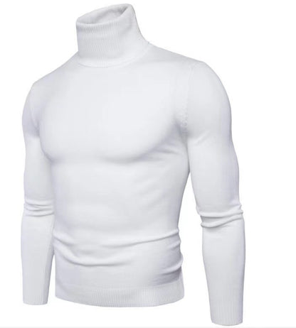 Elegant turtleneck pullover for men in fine merino wool Chic and Style