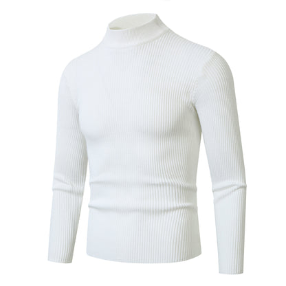 Pullover à col roulé tendance pour hommes en laine fine Chic und Stil
