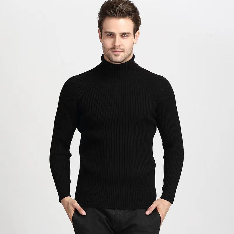 Pull à col roulé pour hommes en fine maille côtelée Chic und Stil