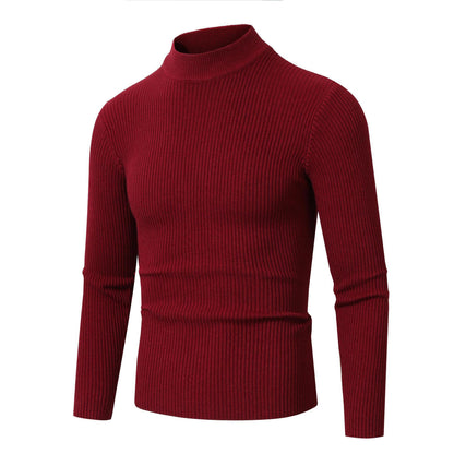 Pullover à col roulé tendance pour hommes en laine fine Chic und Stil