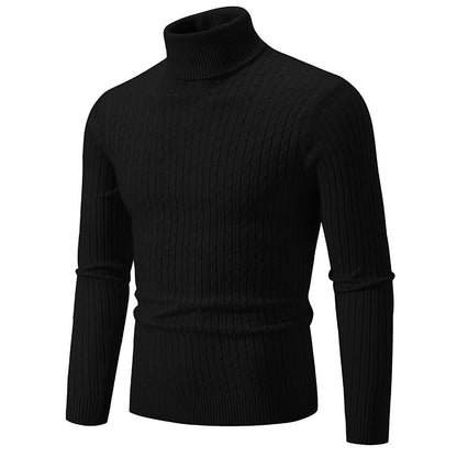 Pull à col roulé pour hommes avec motif torsadé structuré Chic und Stil