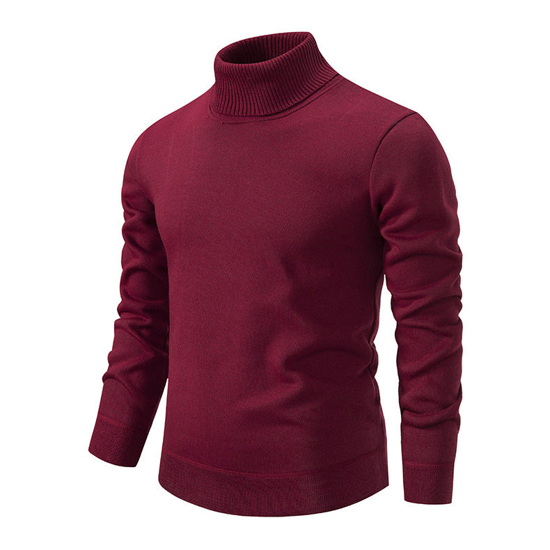 Pull à col roulé pour hommes en tricot doux avec design structuré Chic und Stil