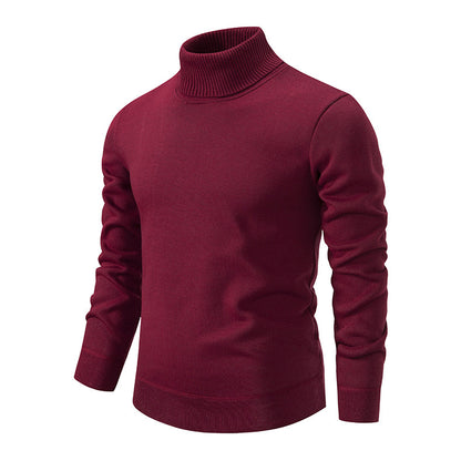 Pull à col roulé pour hommes en tricot doux avec design structuré Chic und Stil