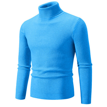 Pullover à col roulé tendance pour hommes avec un design en ribbing fin Chic und Stil