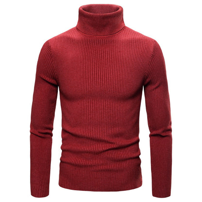 Pullover for men with a fashionable turtleneck made of high-quality knit Chic and Style