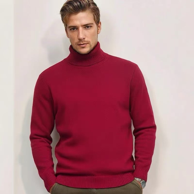 Pullover with roll neck for men in fine knit Chic und Stil