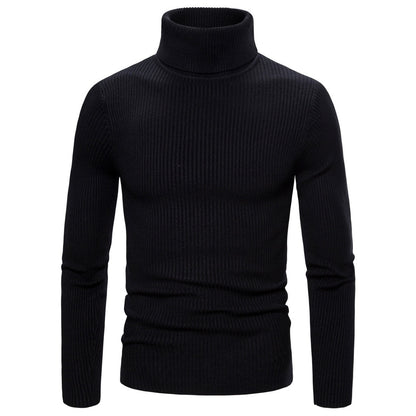 Pullover for men with a fashionable turtleneck made of high-quality knit Chic and Style