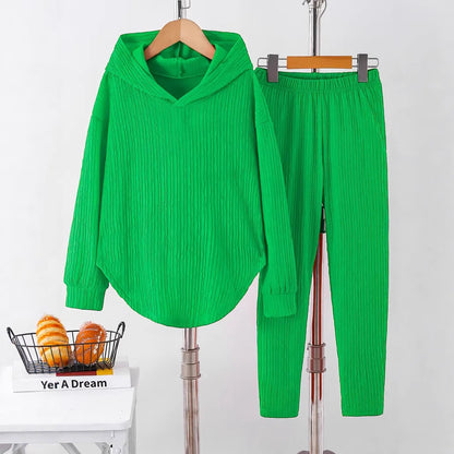 Chic and Style textured design casual sweatshirt and pants set for women