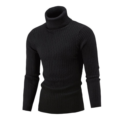 Pull-over à col roulé pour hommes avec un motif côtelé classique Chic und Stil