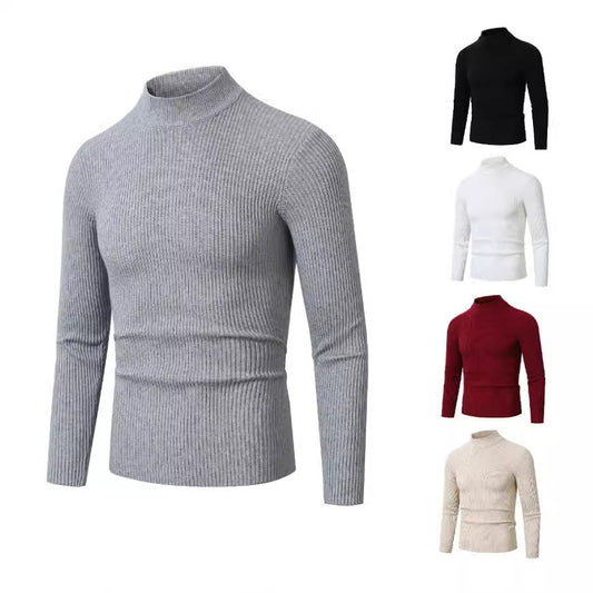 Pullover à col roulé tendance pour hommes en laine fine Chic und Stil