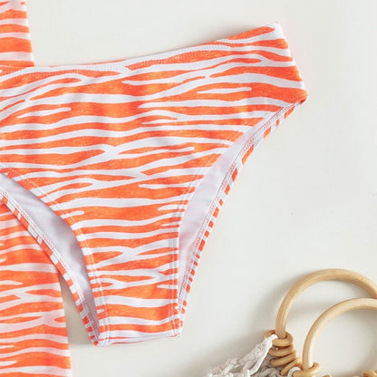 Chic und Stil Zebra Print Two-Piece Swimsuit Set for Women