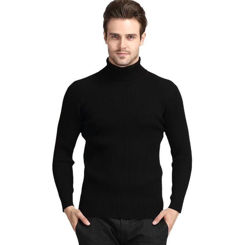 Pull à col roulé pour hommes en fine maille côtelée Chic und Stil