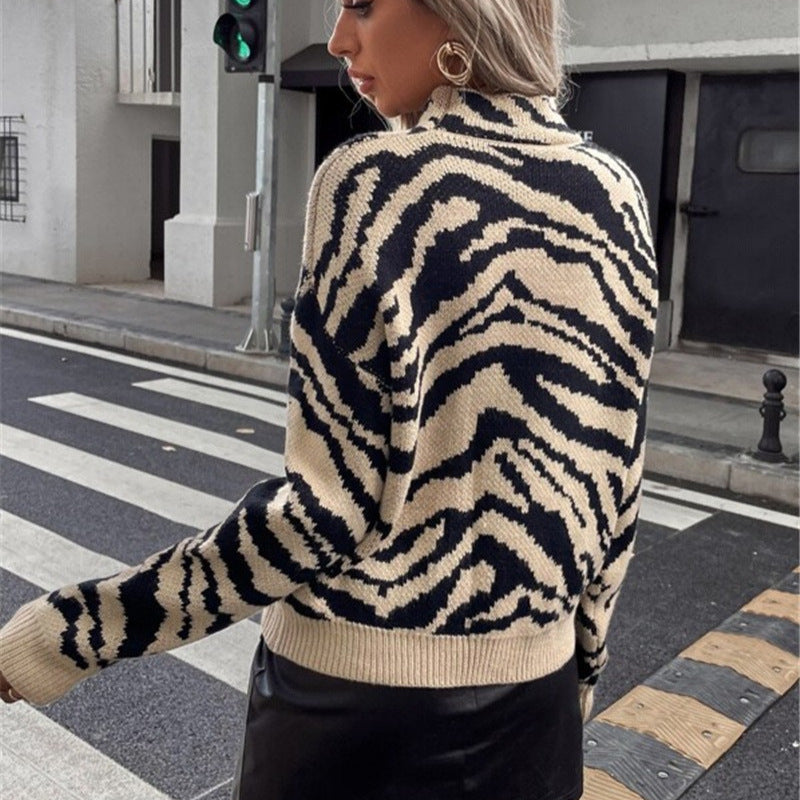 Pull moderne pour femmes avec motif zèbre Chic und Stil
