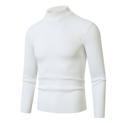 Chic and Style Elegant pullover for men with a roll neck and fine ribbed texture