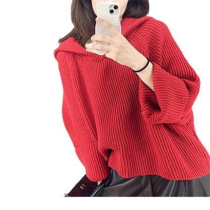Casual pullover for women with hoodie and wide sleeves Chic and Style