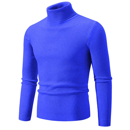 Pullover à col roulé tendance pour hommes avec un design en ribbing fin Chic und Stil