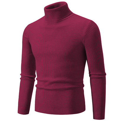 Pullover à col roulé tendance pour hommes avec un design en ribbing fin Chic und Stil