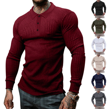 Chemise polo à manches longues pour hommes avec aspect ribbé structuré Chic und Stil