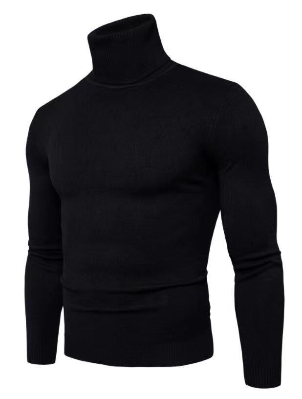 Elegant turtleneck pullover for men in fine merino wool Chic and Style