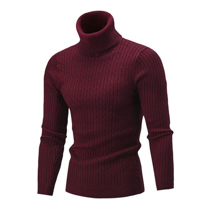 Pull en maille pour hommes à format portrait avec col montant et motif texturé Chic und Stil