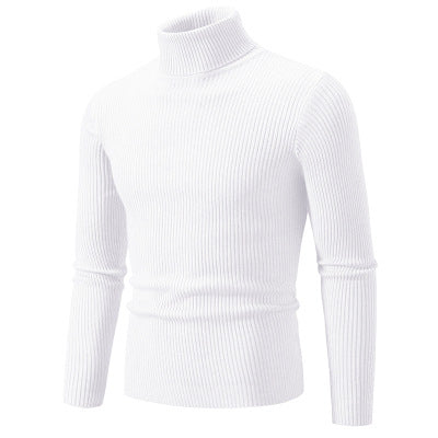 Pull à col roulé pour hommes en qualité ribbed haut de gamme Chic und Stil
