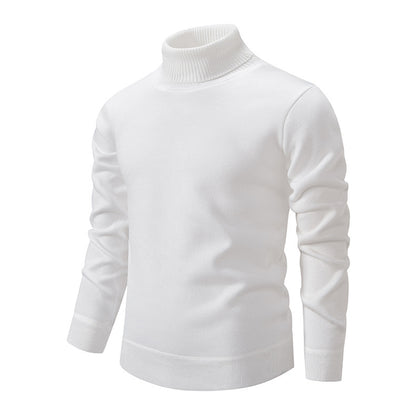 Pull à col roulé pour hommes en tricot doux avec design structuré Chic und Stil