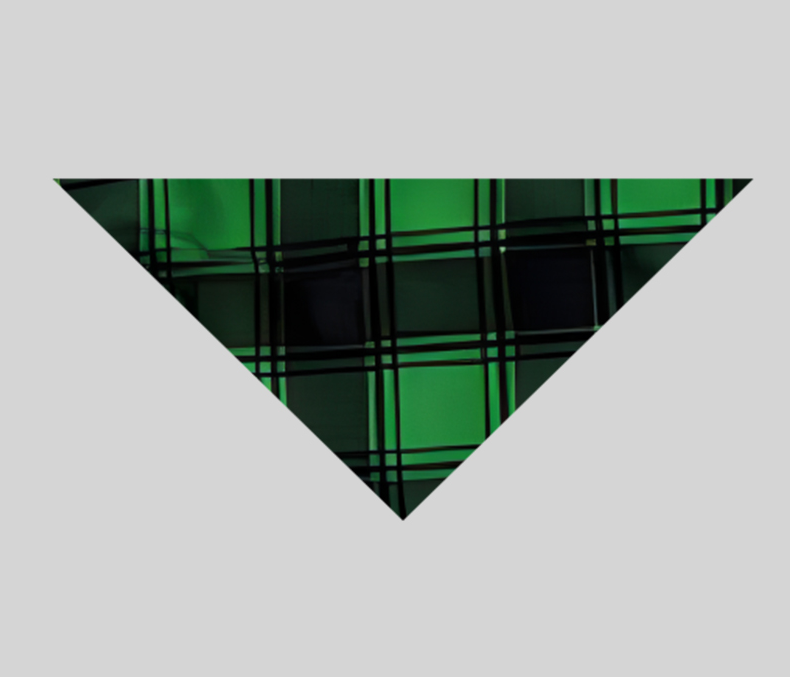 Chic und Stil | Christmas Tree & "Create memories together 2024" Black sleeve tops with contrast patterns and pajama sets with black and green plaid pants for family gatherings with dog bandana