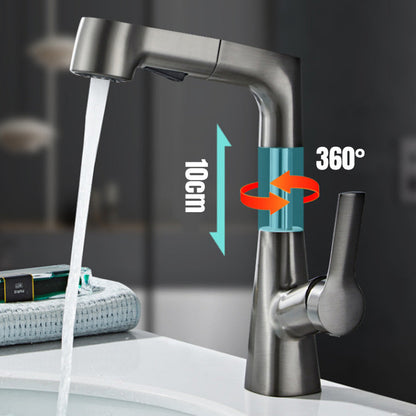 Chic and Style | 1-hole bathroom faucet with pull-out spray
